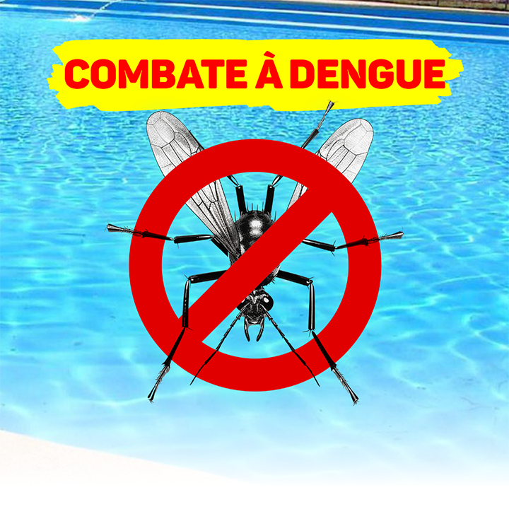 Combate à Dengue - Mantenha Sua Piscina Segura e Livre de Mosquitos